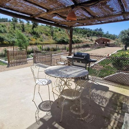 Gecko Pego Longo Villa Sao Luis Exterior photo