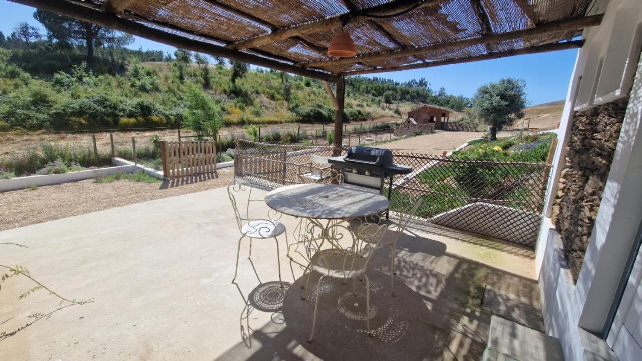 Gecko Pego Longo Villa Sao Luis Exterior photo